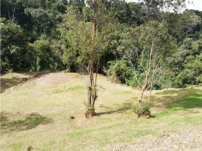 Lote en venta en El Trebol, Manizales, 17000 m² · foto 12 de 21