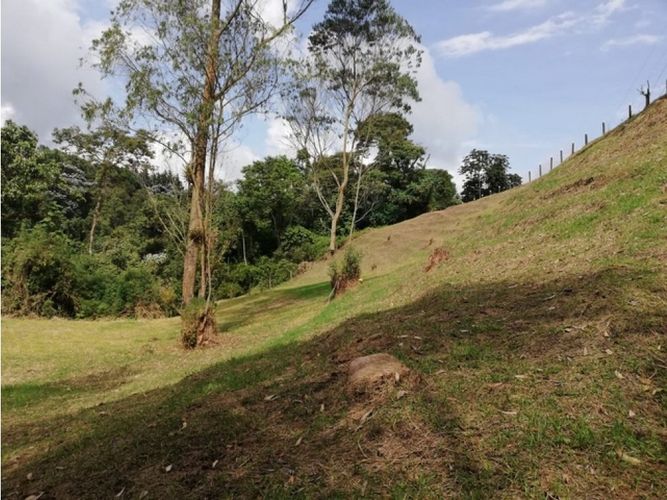 Lote en venta en El Trebol, Manizales, 17000 m² · foto 13 de 21