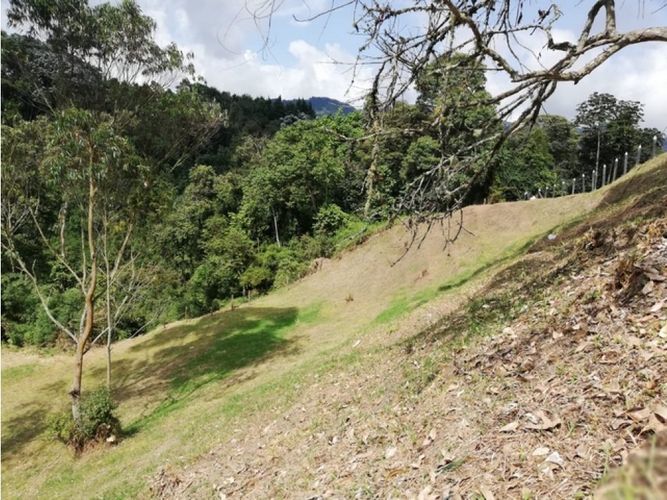 Lote en venta en El Trebol, Manizales, 17000 m² · foto 14 de 21