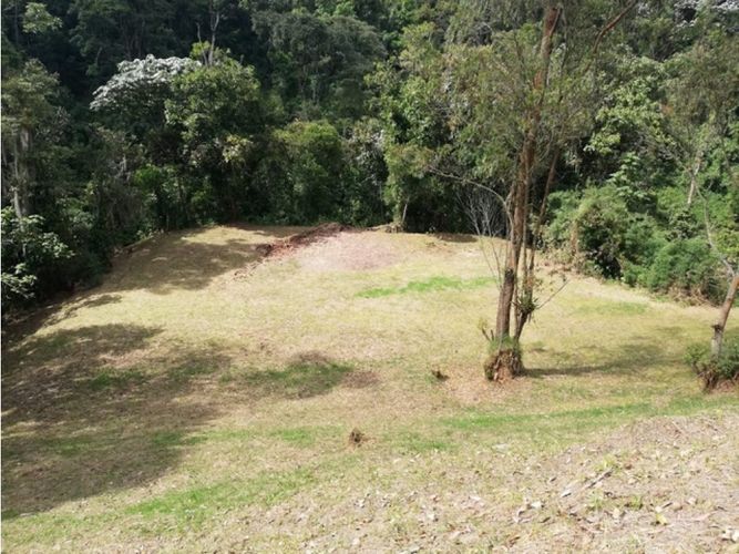 Lote en venta en El Trebol, Manizales, 17000 m² · foto 16 de 21
