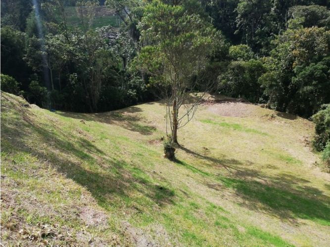 Lote en venta en El Trebol, Manizales, 17000 m² · foto 20 de 21
