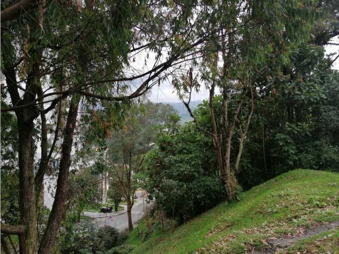 Lote en venta en El Trebol, Manizales, 13322 m² · foto 5 de 19