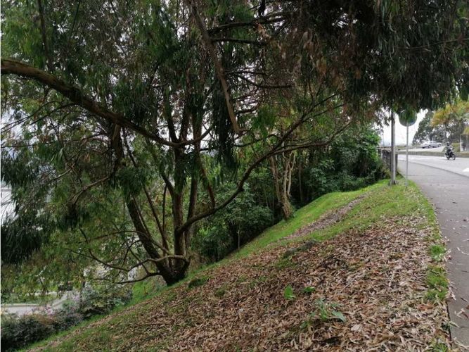 Lote en venta en El Trebol, Manizales, 13322 m² · foto 7 de 19