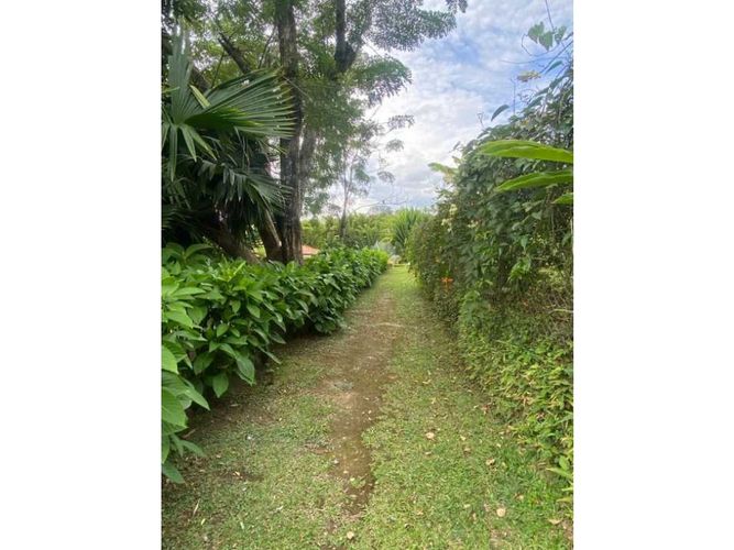 Lote en venta en San Bernardo Del Viento, Manizales, 3161 m² · foto 6 de 21