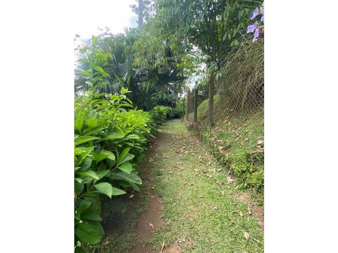 Lote en venta en San Bernardo Del Viento, Manizales, 3161 m² · foto 7 de 21