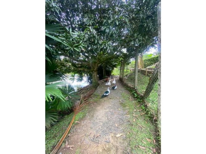 Lote en venta en San Bernardo Del Viento, Manizales, 3161 m² · foto 9 de 21