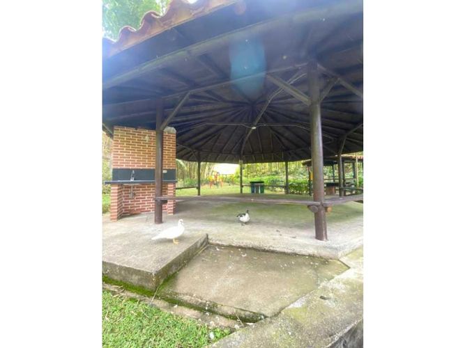 Lote en venta en San Bernardo Del Viento, Manizales, 3161 m² · foto 13 de 21
