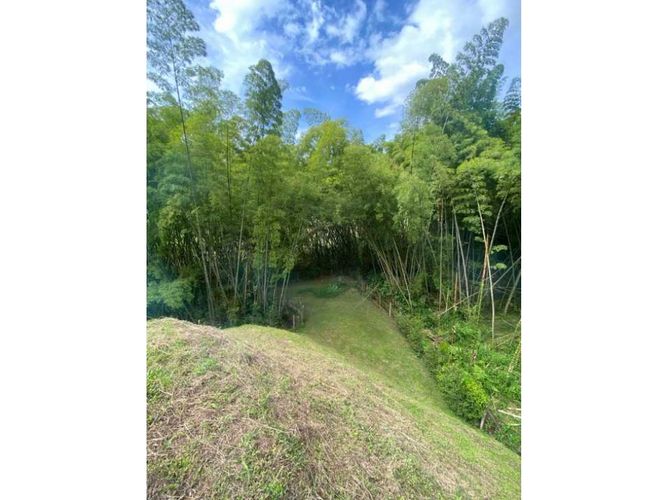 Lote en venta en San Bernardo Del Viento, Manizales, 3161 m² · foto 19 de 21