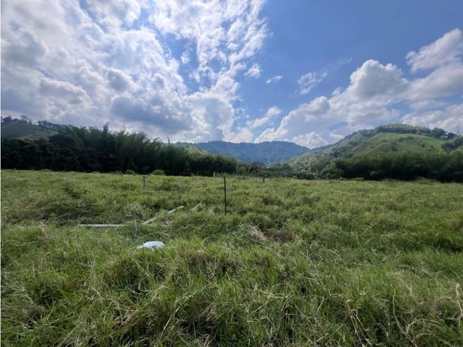 Lote en venta en El Rosario, Manizales, 11294 m² · foto 4 de 14