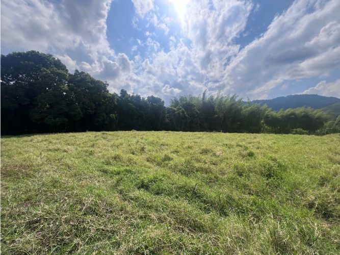 Lote en venta en El Rosario, Manizales, 11294 m² · foto 7 de 14