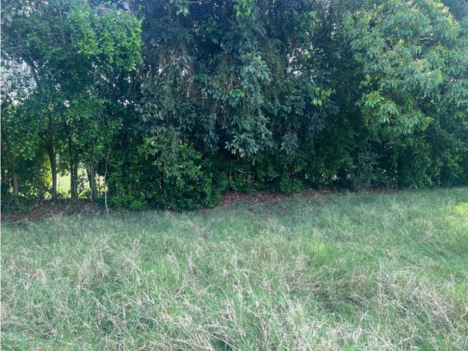 Lote en venta en El Rosario, Manizales, 11294 m² · foto 12 de 14