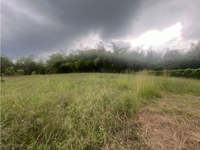 Lote en venta en Cerritos, Pereira, 2848 m² · foto 10 de 12