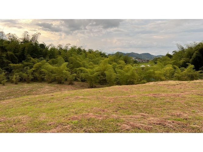 Lote en venta en Cerritos, Pereira, 6133 m² · foto 3 de 3