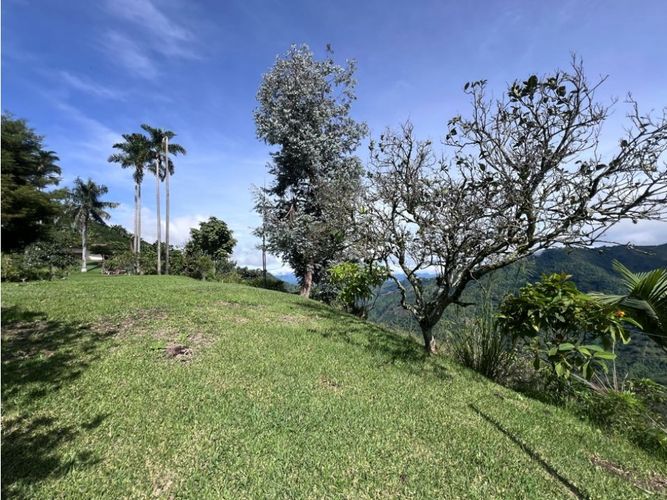 Finca en venta en Cuchilla Del Salado, Manizales, 345 m² · foto 3 de 24