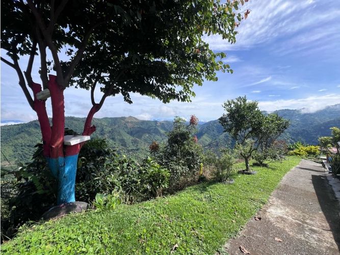 Finca en venta en Cuchilla Del Salado, Manizales, 345 m² · foto 20 de 24