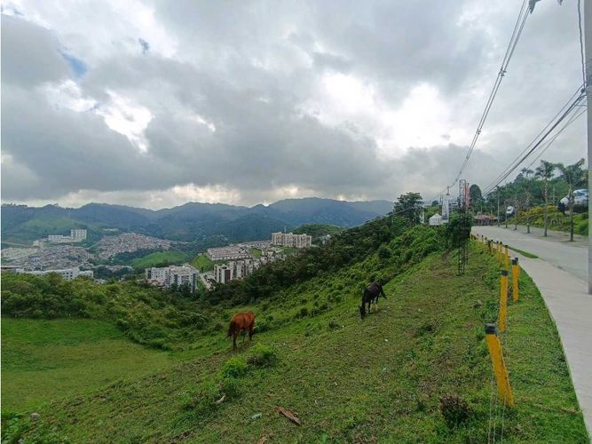 Lote en venta en Cerro De Oro, Manizales, 3450 m² · foto 4 de 8