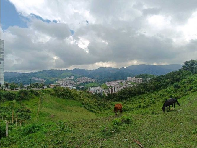 Lote en venta en Cerro De Oro, Manizales, 3450 m² · foto 5 de 8