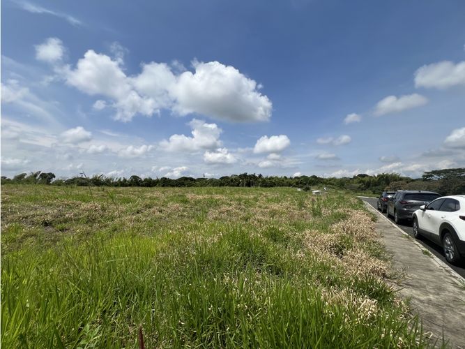 Lote en venta en Cerritos, Pereira, 1500 m² · foto 3 de 13