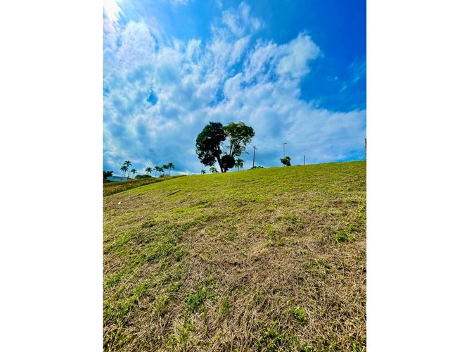 Lote en venta en Avenida Sur, Pereira, 1558 m² · foto 3 de 4