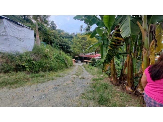 Finca en venta en Alto Del Naranjo, Manizales, 3000 m² · foto 6 de 24