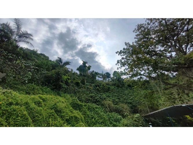 Finca en venta en Alto Del Naranjo, Manizales, 3000 m² · foto 8 de 24