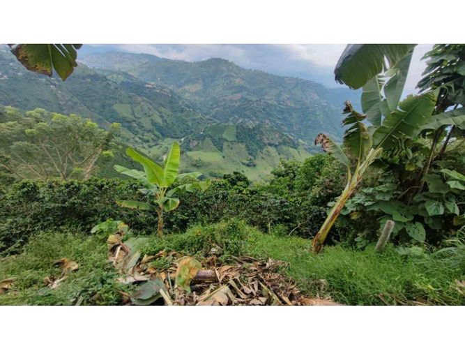 Finca en venta en Alto Del Naranjo, Manizales, 3000 m² · foto 9 de 24