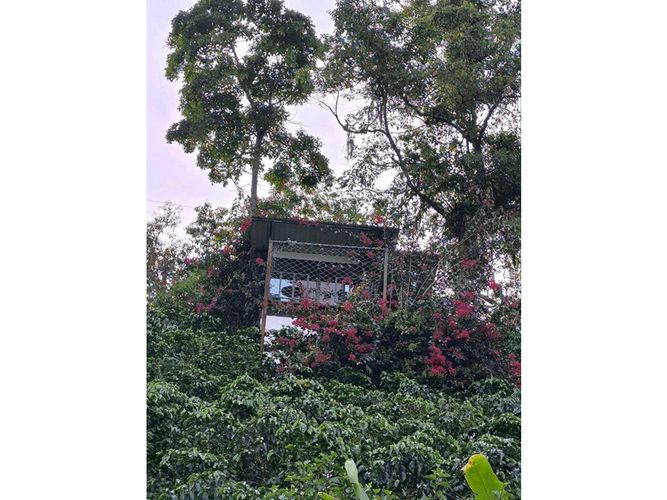 Finca en venta en Alto Del Naranjo, Manizales, 3000 m² · foto 18 de 24