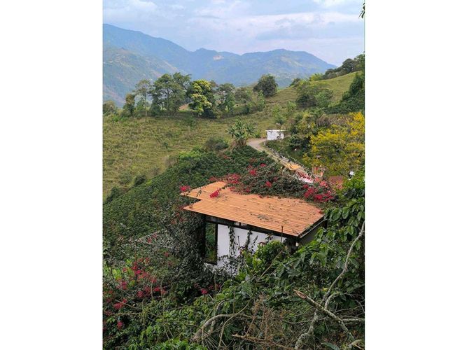 Finca en venta en Alto Del Naranjo, Manizales, 3000 m² · foto 22 de 24
