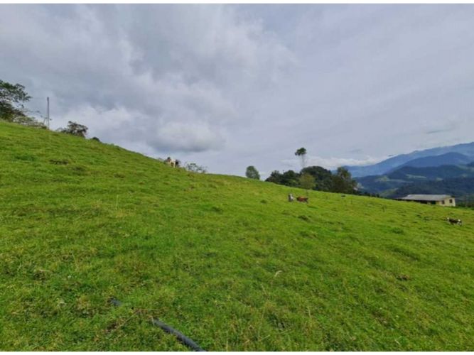 Finca en venta en Milan, Manizales · foto 2 de 9