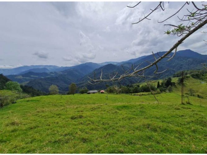 Finca en venta en Milan, Manizales · foto 3 de 9