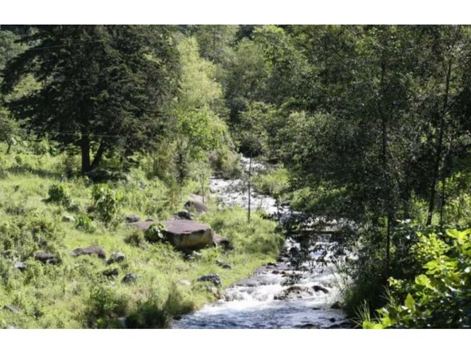 Finca en venta en Milan, Manizales · foto 4 de 9