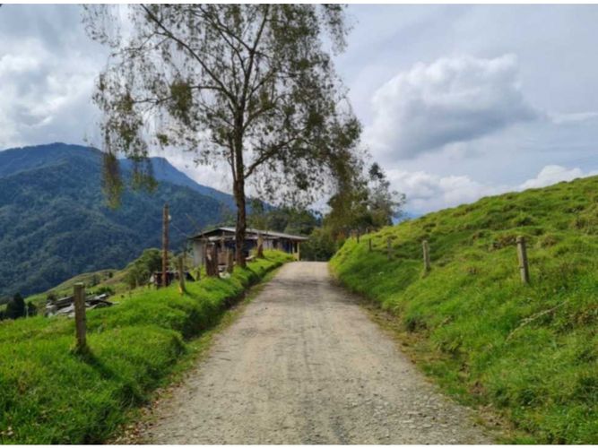 Finca en venta en Milan, Manizales · foto 5 de 9