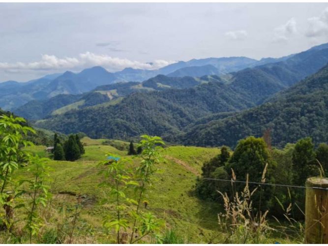 Finca en venta en Milan, Manizales · foto 6 de 9