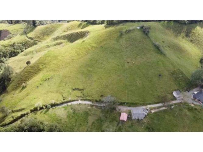 Finca en venta en Milan, Manizales · foto 7 de 9