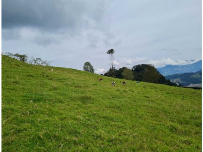 Finca en venta en Milan, Manizales · foto 8 de 9