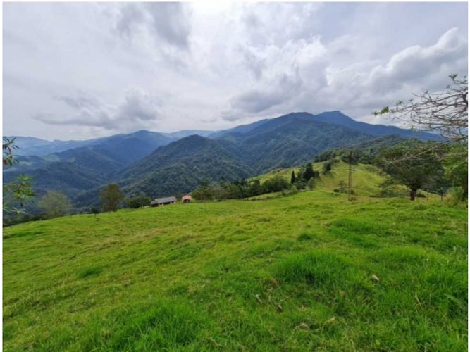 Finca en venta en Milan, Manizales · foto 9 de 9