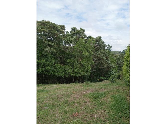 Lote en venta en Morelia, Pereira, 2681 m² · foto 3 de 13