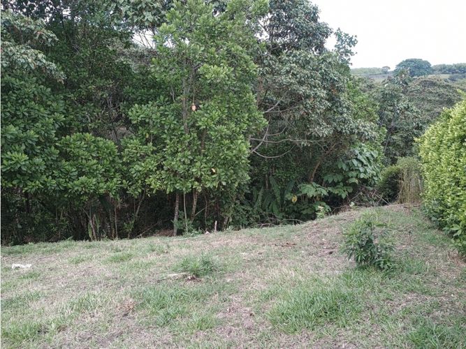 Lote en venta en Morelia, Pereira, 2681 m² · foto 4 de 13
