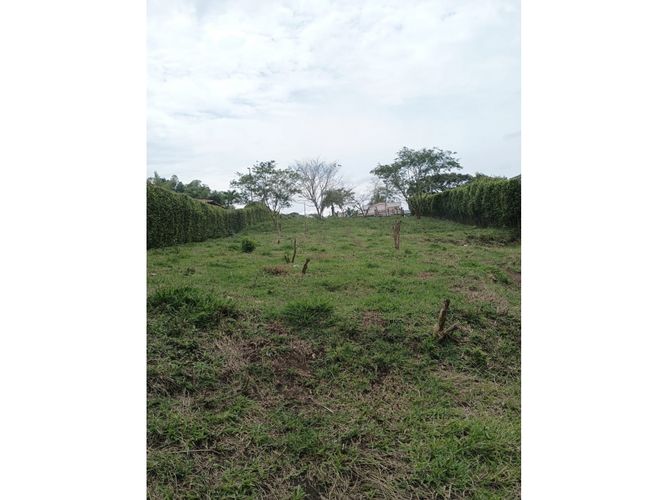 Lote en venta en Morelia, Pereira, 2681 m² · foto 6 de 13