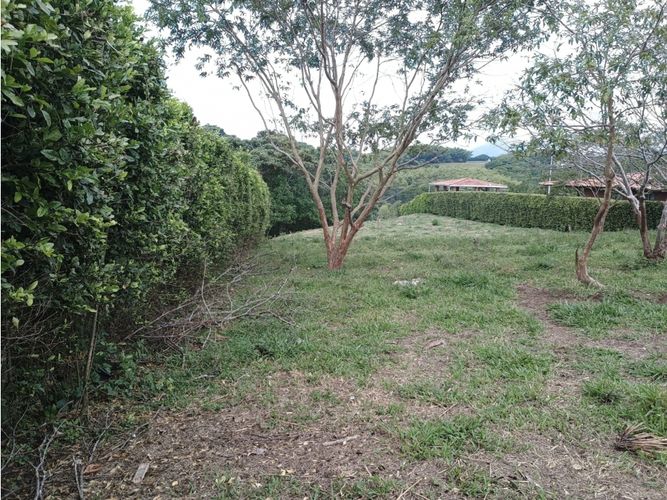 Lote en venta en Morelia, Pereira, 2681 m² · foto 8 de 13