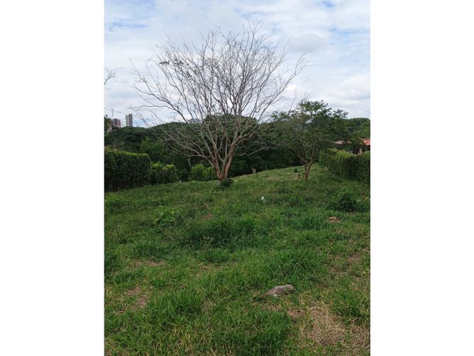 Lote en venta en Morelia, Pereira, 2681 m² · foto 9 de 13