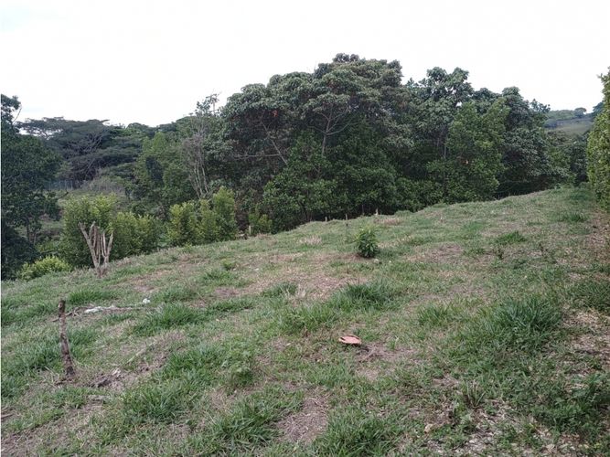 Lote en venta en Morelia, Pereira, 2681 m² · foto 11 de 13