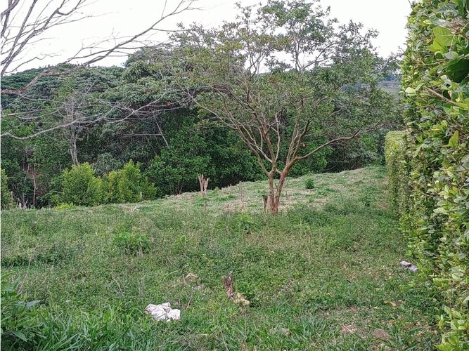 Lote en venta en Morelia, Pereira, 2681 m² · foto 12 de 13