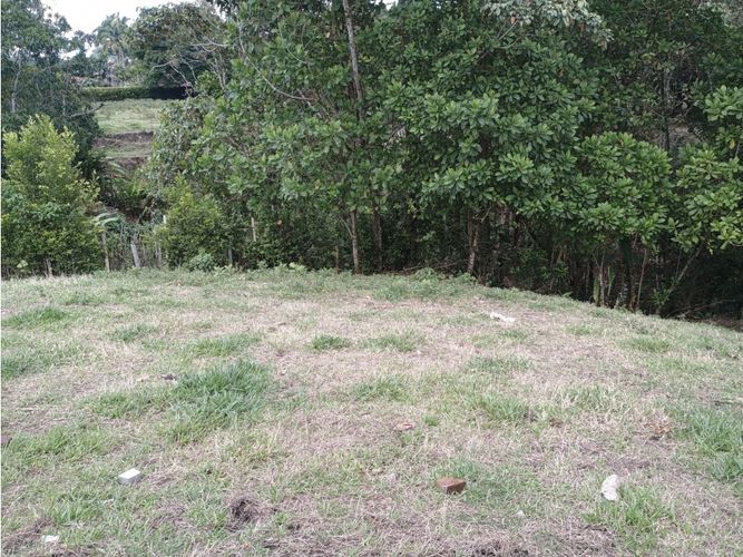 Lote en venta en Morelia, Pereira, 2681 m² · foto 13 de 13