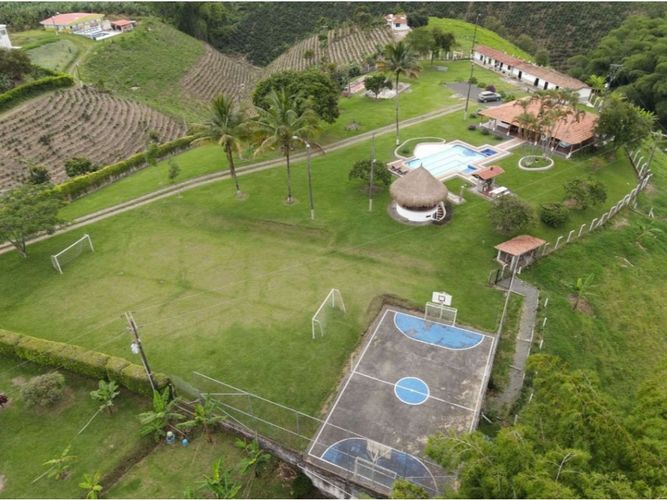 Finca en venta en Morelia, Pereira, 1150 m² · foto 5 de 17