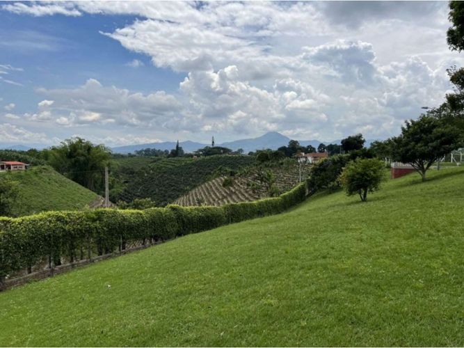 Finca en venta en Morelia, Pereira, 1150 m² · foto 6 de 17