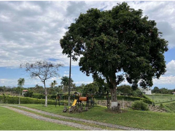 Finca en venta en Morelia, Pereira, 1150 m² · foto 8 de 17