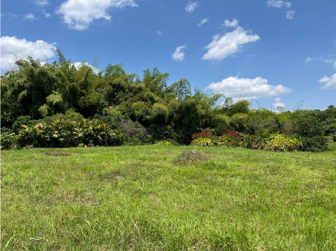 Lote en venta en Cerritos, Pereira, 3037 m² · foto 4 de 20