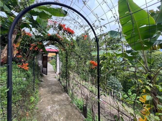 Finca en venta en Quiebra De Velez, Manizales, 700 m² · foto 20 de 24