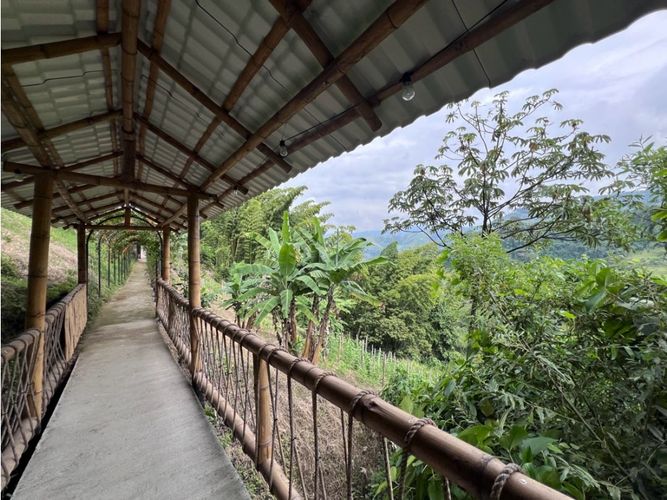 Finca en venta en Quiebra De Velez, Manizales, 700 m² · foto 21 de 24